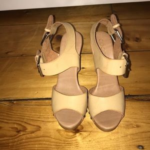Coconuts by Matisse Wedges